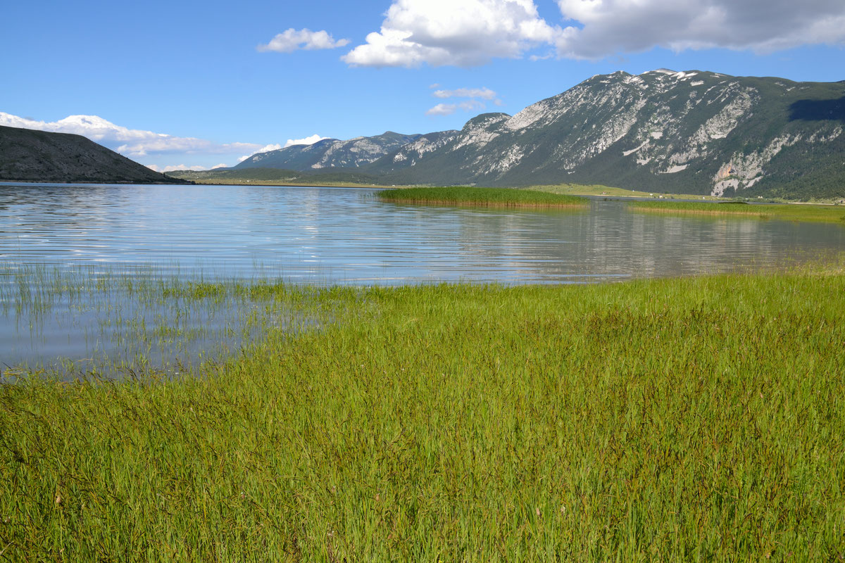 Jezero Blidinje