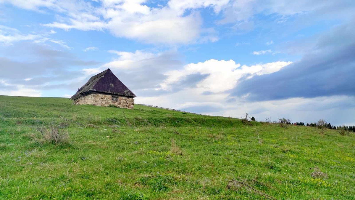 Skakavac