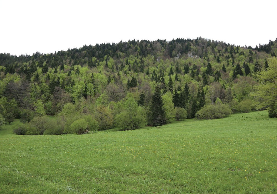ZP Skakavac