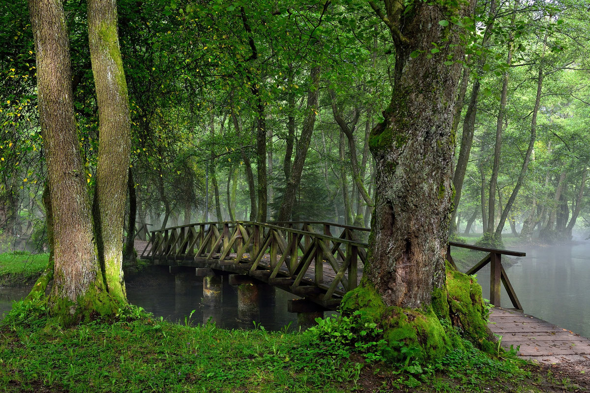 ZP SP Vrelo Bosne