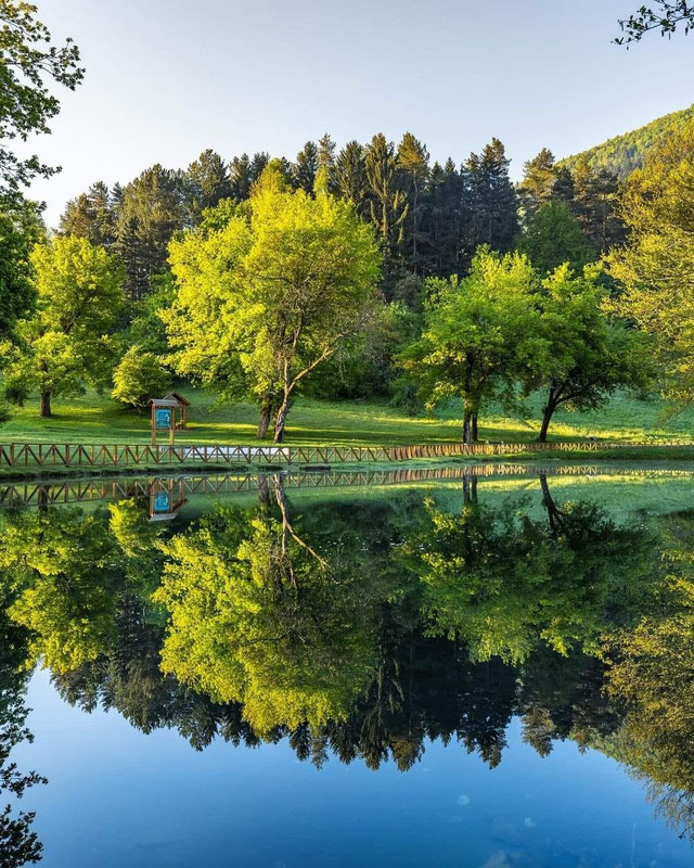 ZP SP Vrelo Bosne
