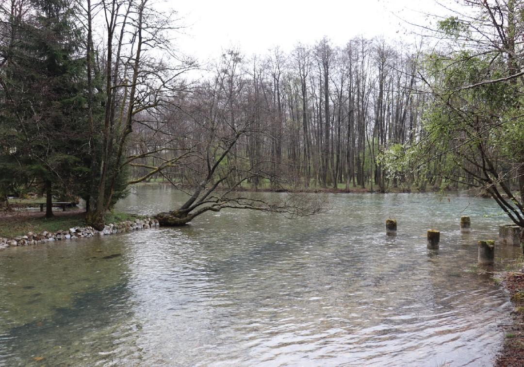 ZP Vrelo Bosne