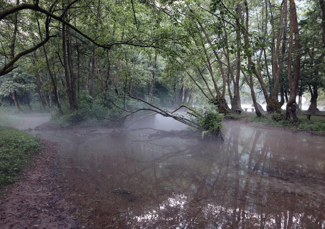 ZP Vrelo Bosne