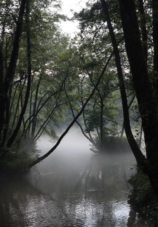 ZP Vrelo Bosne