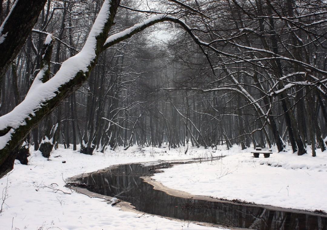 ZP Vrelo Bosne