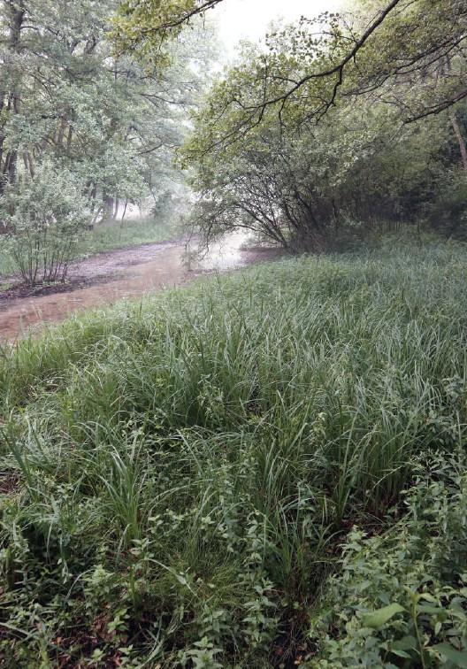 ZP Vrelo Bosne