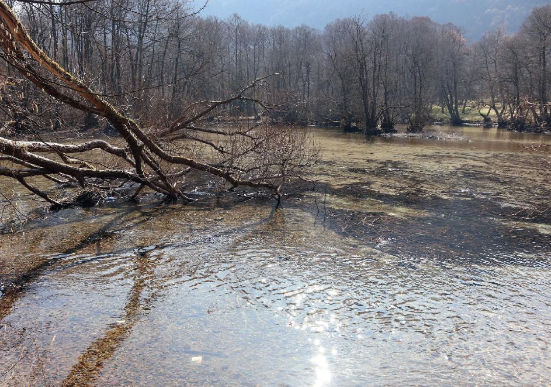 ZP Vrelo Bosne