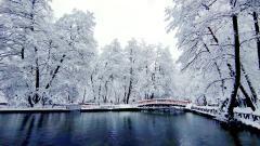 Zima na ZP SP Vrelu Bosne