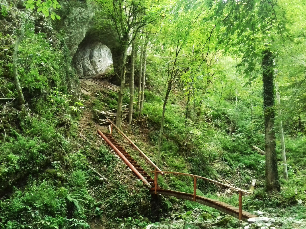 ZP Konjuh
