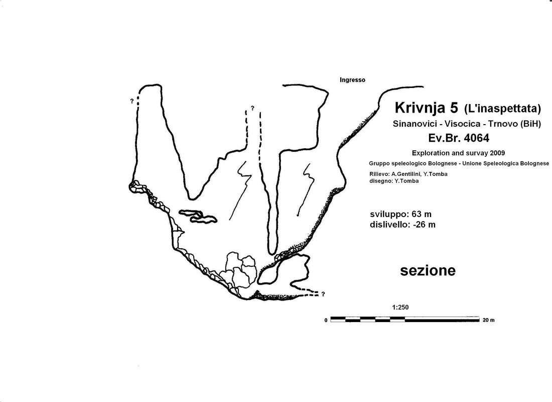 Krivnja 5 - presjek